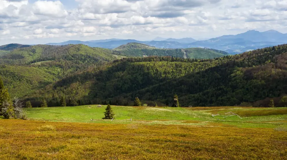 Beskid Żywiecki - najwyższe szczyty. Jak wybrać trasę?