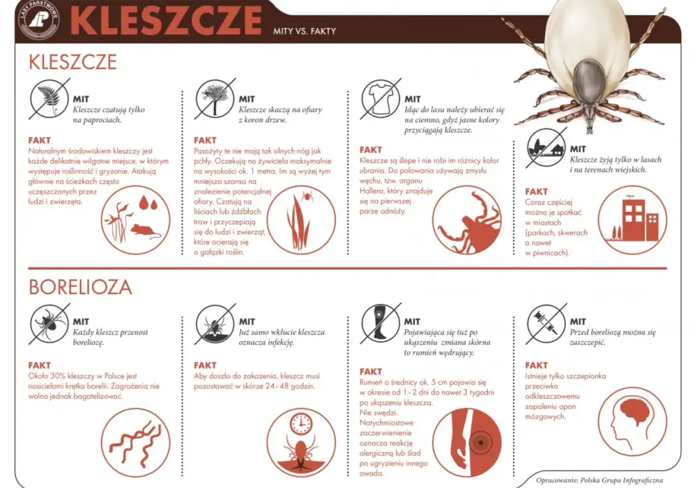 Kleszcze na biwaku - Co działa, a co tylko brzmi dobrze?
