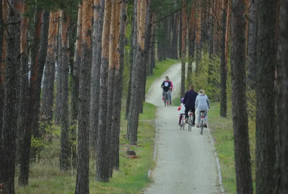 Najlepsze trasy rowerowe w Toruniu, które musisz poznać
