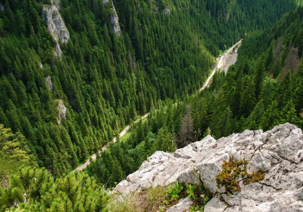 Dolina Kościeliska do Hali Ornak - ile trwa trasa?