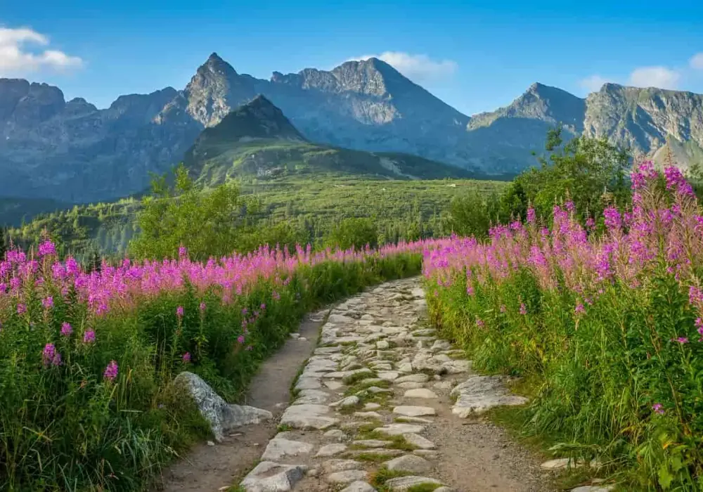 Tatry słowackie - Ubezpieczenie, które ratuje życie i portfel
