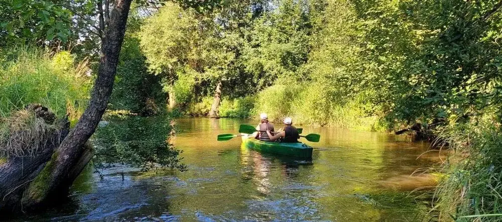 Najlepsze miejsca na kajaki w Śląsku - odkryj ukryte skarby