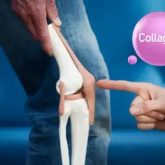 Model kolana i dłonie wskazujące na niego. W tle różowa bańka z napisem "Collagen" - wsparcie dla kolan.