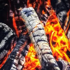 Czy w lesie można palić ognisko? Przepisy i kary, które musisz znać