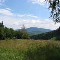 Widok na najwyższy szczyt Węgier, Górę Kékes, z łąką pełną dzikich kwiatów i lasem w tle.