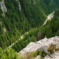 Widok na Dolinę Kościeliską z góry. Droga wije się wśród gęstego lasu świerkowego. Ile km do schroniska?