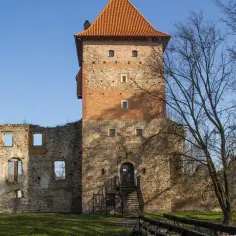 Ruiny zamku w Chudowie z wieżą obronną i fragmentami murów. Drzewa bez liści otaczają zabytek.