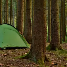 Zielony namiot i rowery w lesie, idealne miejsce na bushcraft i nocleg.
