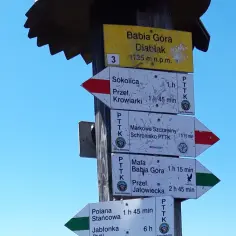 Słup z drogowskazami na szlaku. Na górze tabliczka "Babia Góra Diablak 1725 m n.p.m.". Wskazuje kierunki do Sokolicy, Markowych Szczawin, Małej Babiej Góry i Polany Stańcowej.