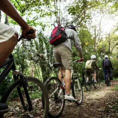 Najlepsze trasy rowerowe w Olsztynie: planuj bezpieczną i przyjemną przejażdżkę