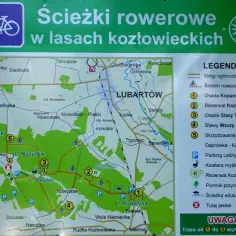 Lasy Kozłowieckie trasy rowerowe – najpiękniejsze szlaki i atrakcje