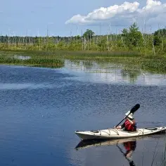 Mazury kajaki gdzie - najlepsze miejsca na spływy kajakowe