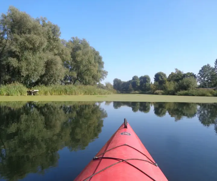 Ile czasu zajmuje przepłynięcie 20 km kajakiem? Sprawdź, jak to obliczyć!