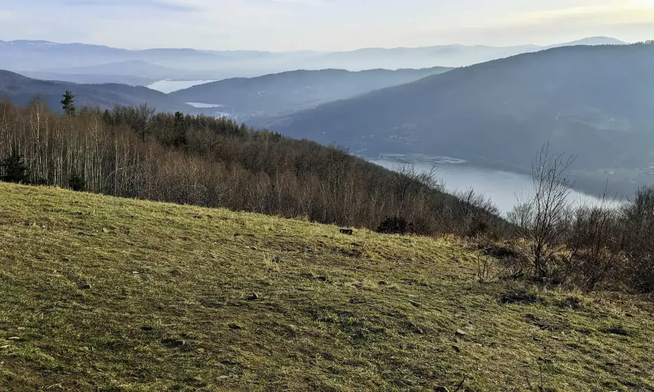 Widok na jezioro i góry w Beskidzie Małym. Łąka na pierwszym planie, las na zboczu, a w oddali mgliste pasma górskie.