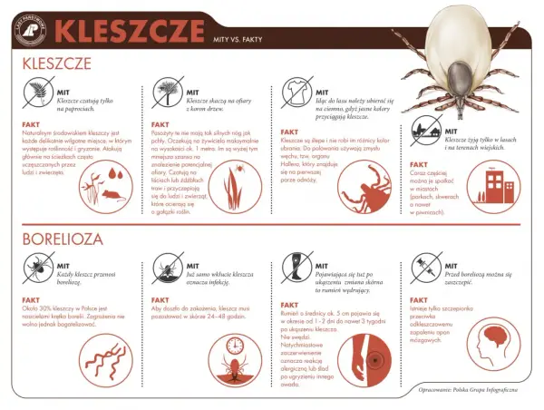 Kleszcze na biwaku - Co działa, a co tylko brzmi dobrze?