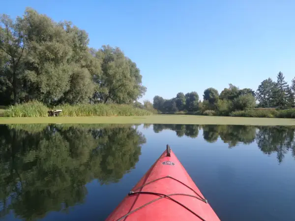 Ile czasu zajmuje przepłynięcie 20 km kajakiem? Sprawdź, jak to obliczyć!