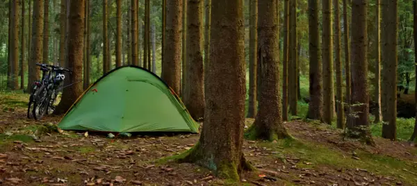 Nocleg w lesie - Jak zacząć? Legalnie, bezpiecznie i z głową