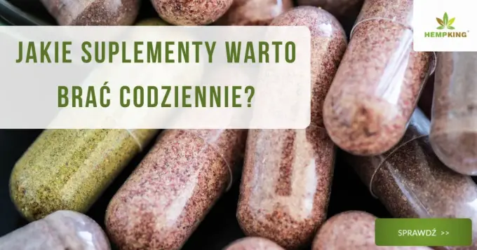 Jakie suplementy warto brać? Wybór bez przepłacania