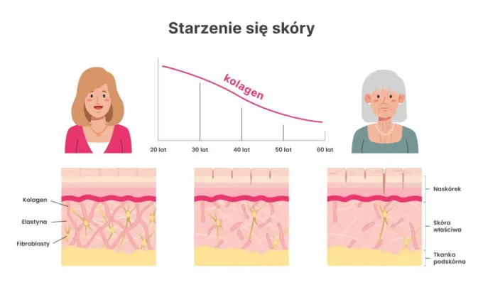 Kolagen - co daje naprawdę i kiedy warto go brać?