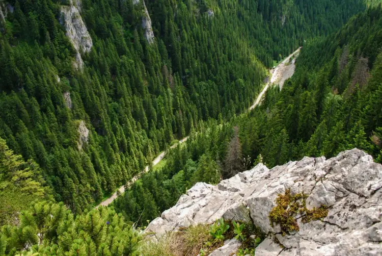 Dolina Kościeliska do Hali Ornak - ile trwa trasa?